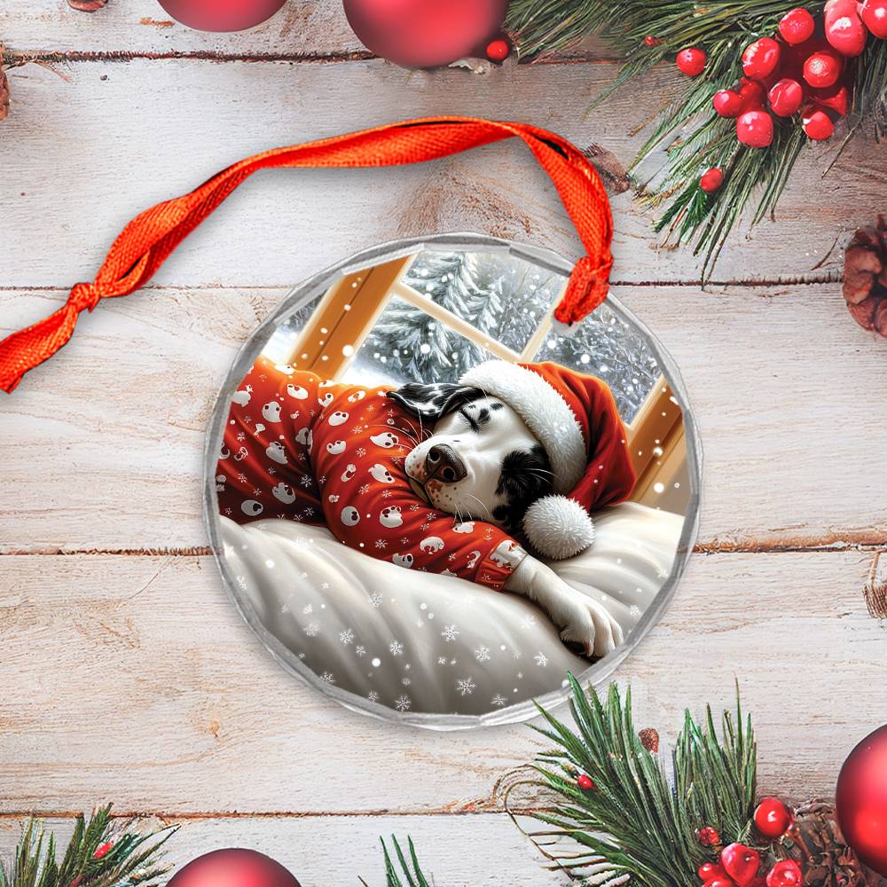 Dalmatian Dog Sleeping In Bed Design 4