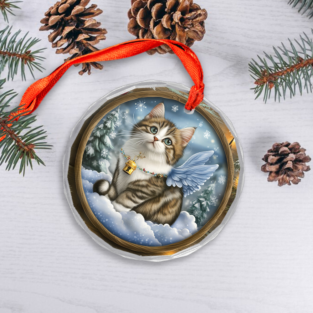 Angel Norwegian Forest Cat 3
