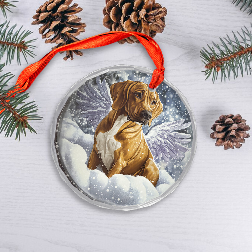 Angel Rhodesian Ridgeback Dog 4