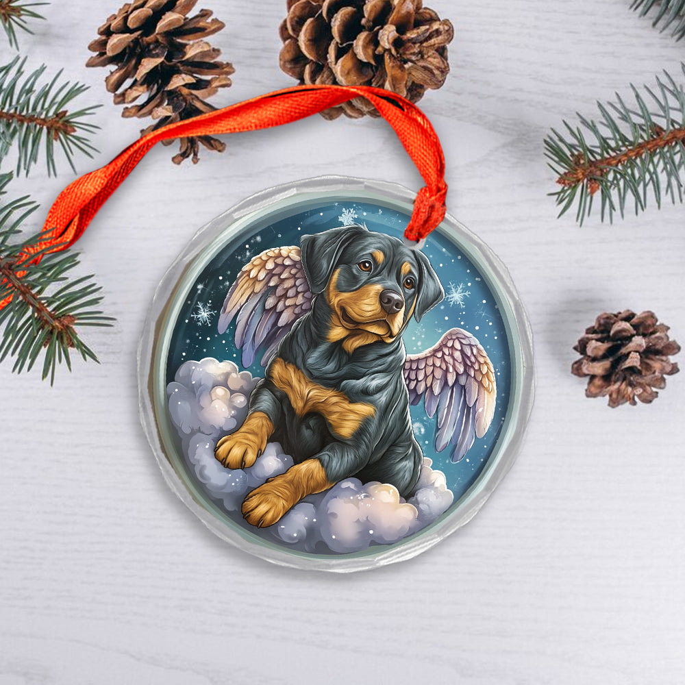 Angel Rottweiler Dog 4
