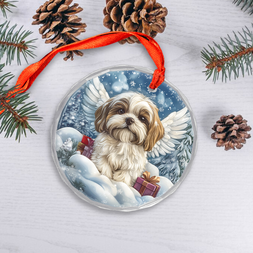 Angel Shih Tzu Dog 2