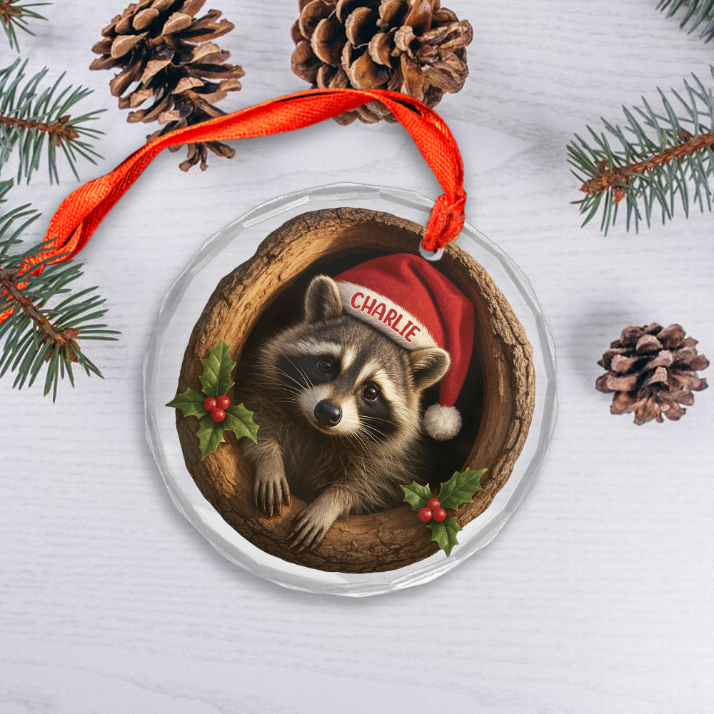 Custom Name Raccoon Xmas