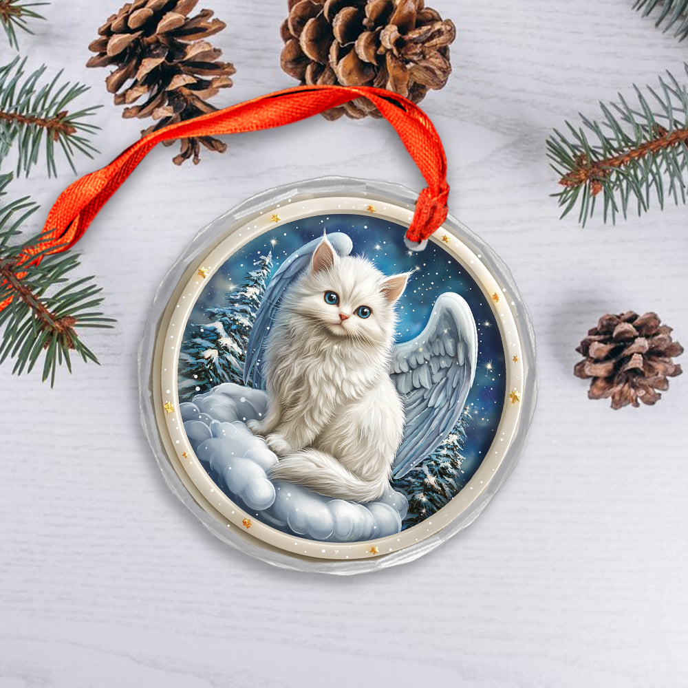Angel Turkish Angora 2