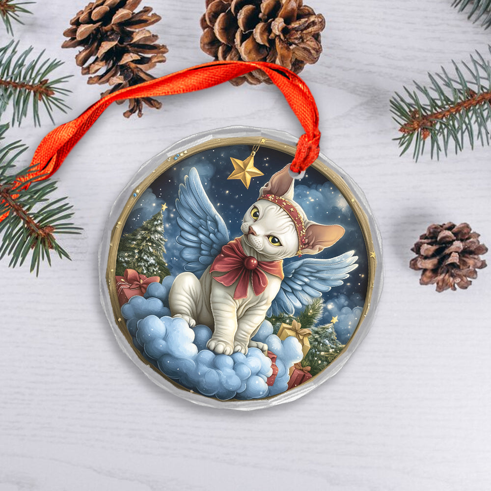 Angel Sphynx Cat 1