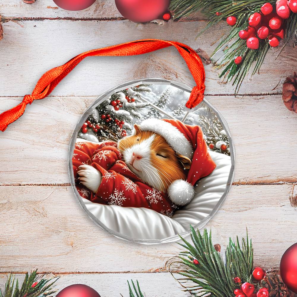 Guinea Pig Sleeping In Bed Design 3