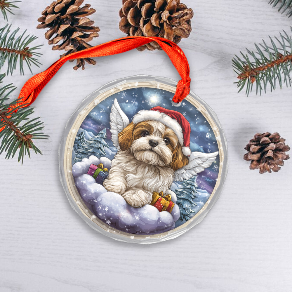Angel Shih Tzu Dog 3