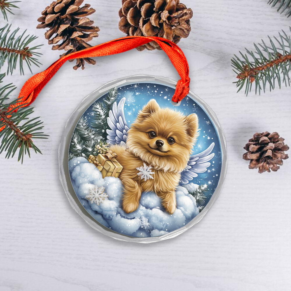 Angel Pomeranian Dog 1