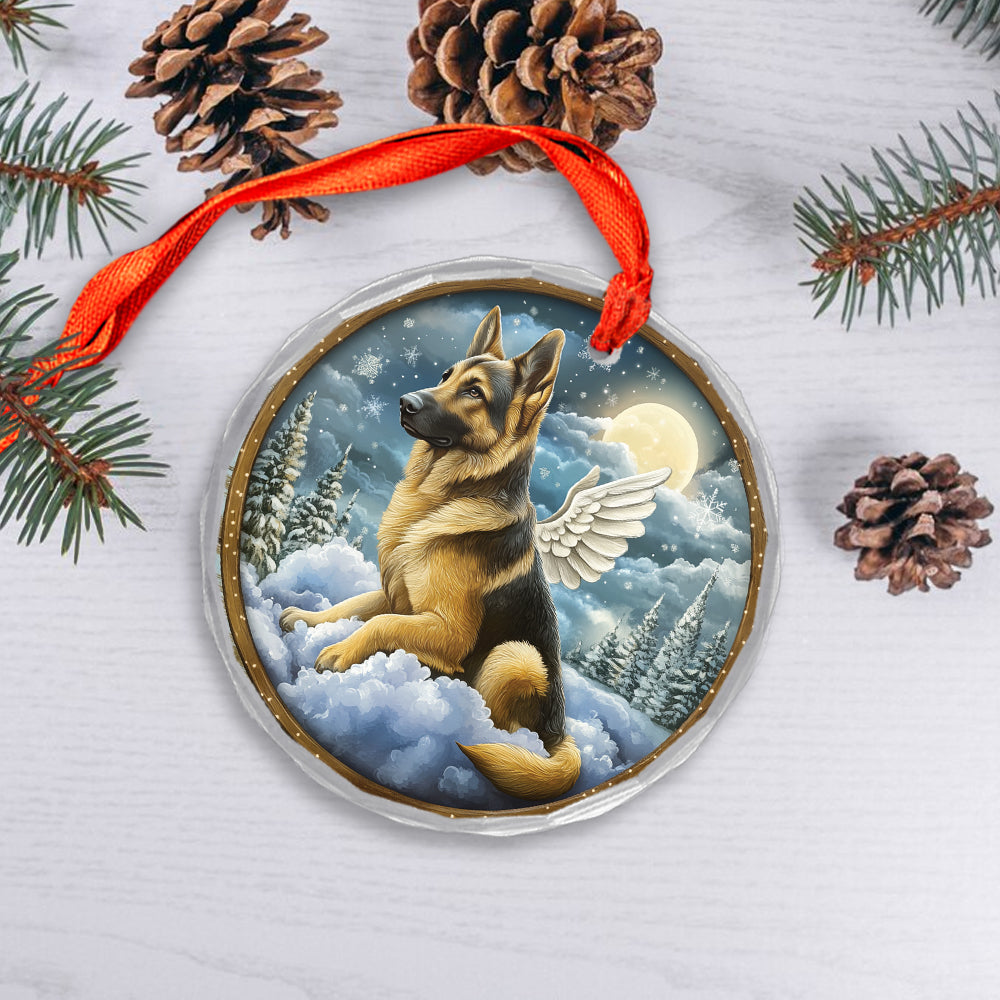 Angel German Shepherd Dog 4