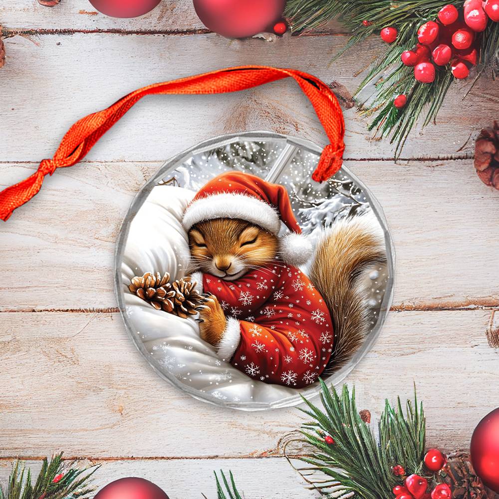 Squirrel Sleeping In Bed Design 2