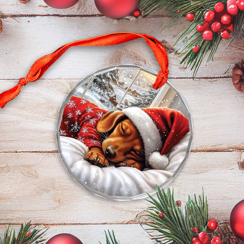 Dachshund Dog Sleeping In Bed Design 1