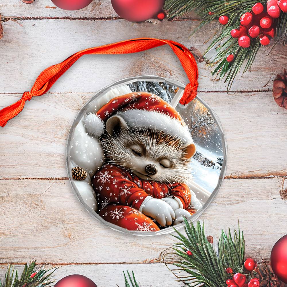 Hedgehog Sleeping In Bed Design 2