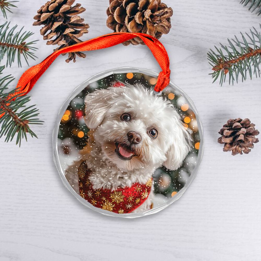 Beautiful Bichon Frise Dog Christmas Night Design 4 Glass Ornament