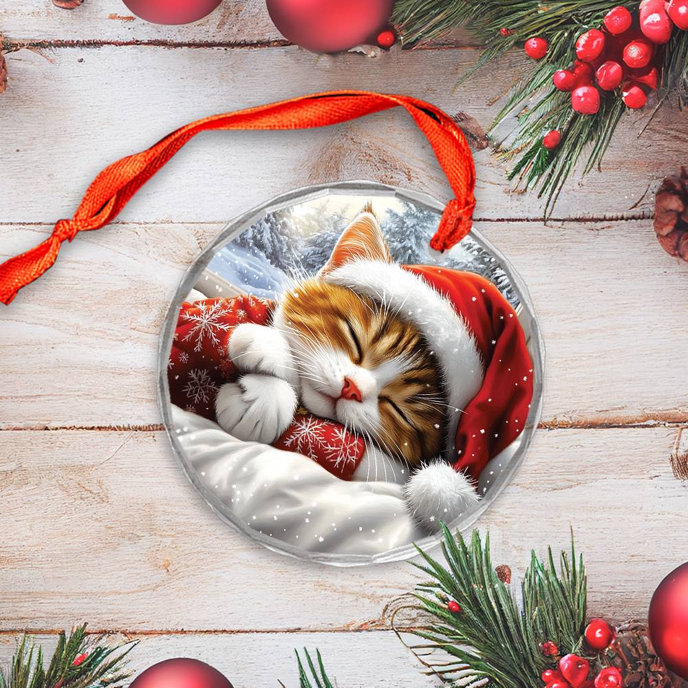 Persian cat Sleeping In Bed Design 3