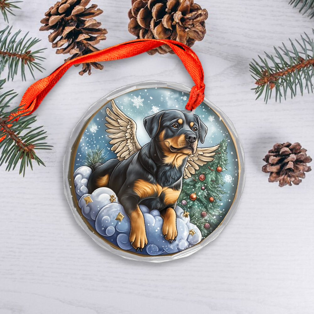 Angel Rottweiler Dog 3
