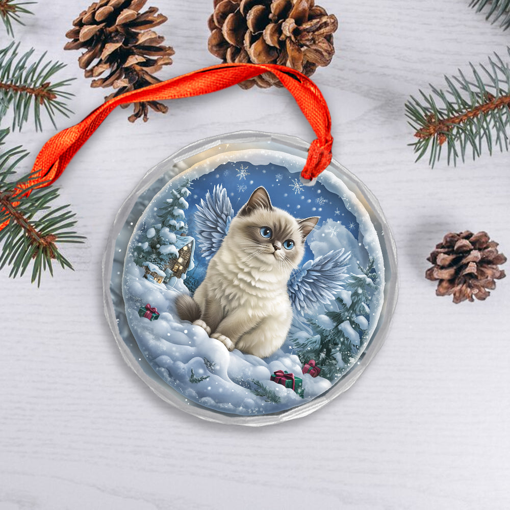 Angel Siamese Cat 2
