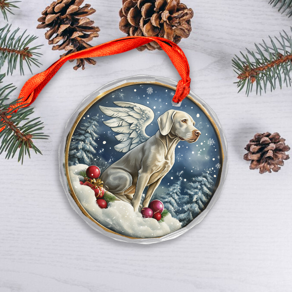 Angel Weimaraner Dog 4