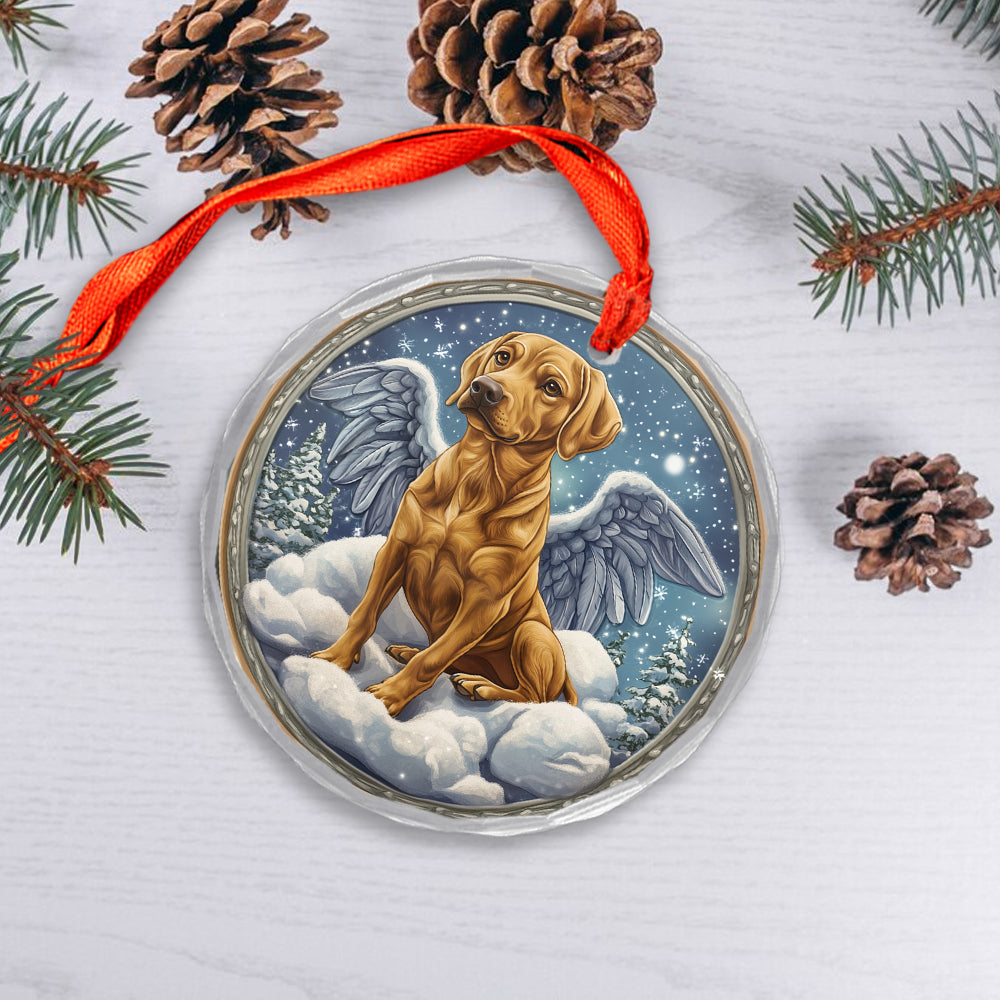 Angel Rhodesian Ridgeback Dog 3