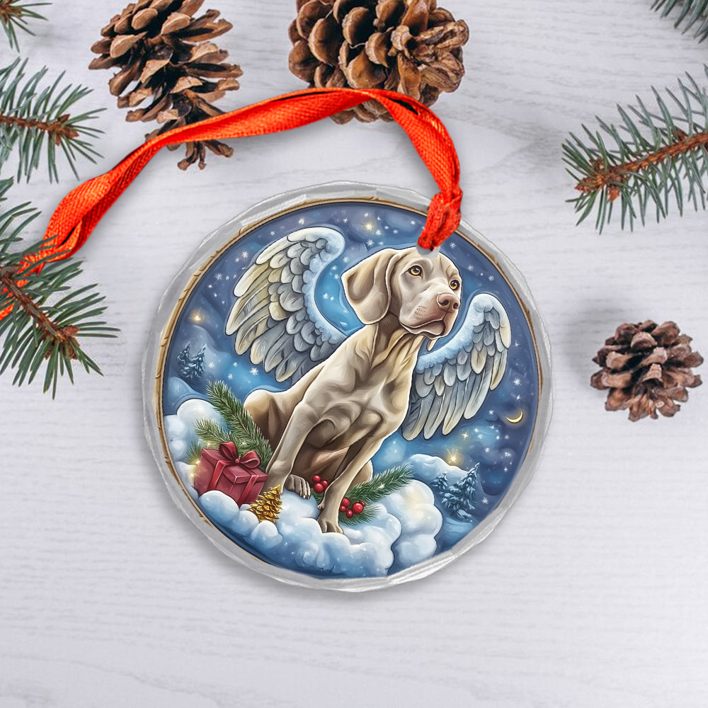 Angel Weimaraner Dog 3