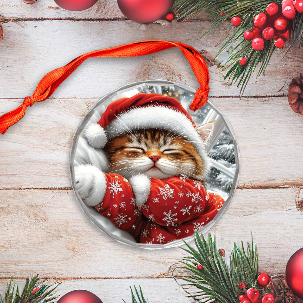 Persian cat Sleeping In Bed Design 1