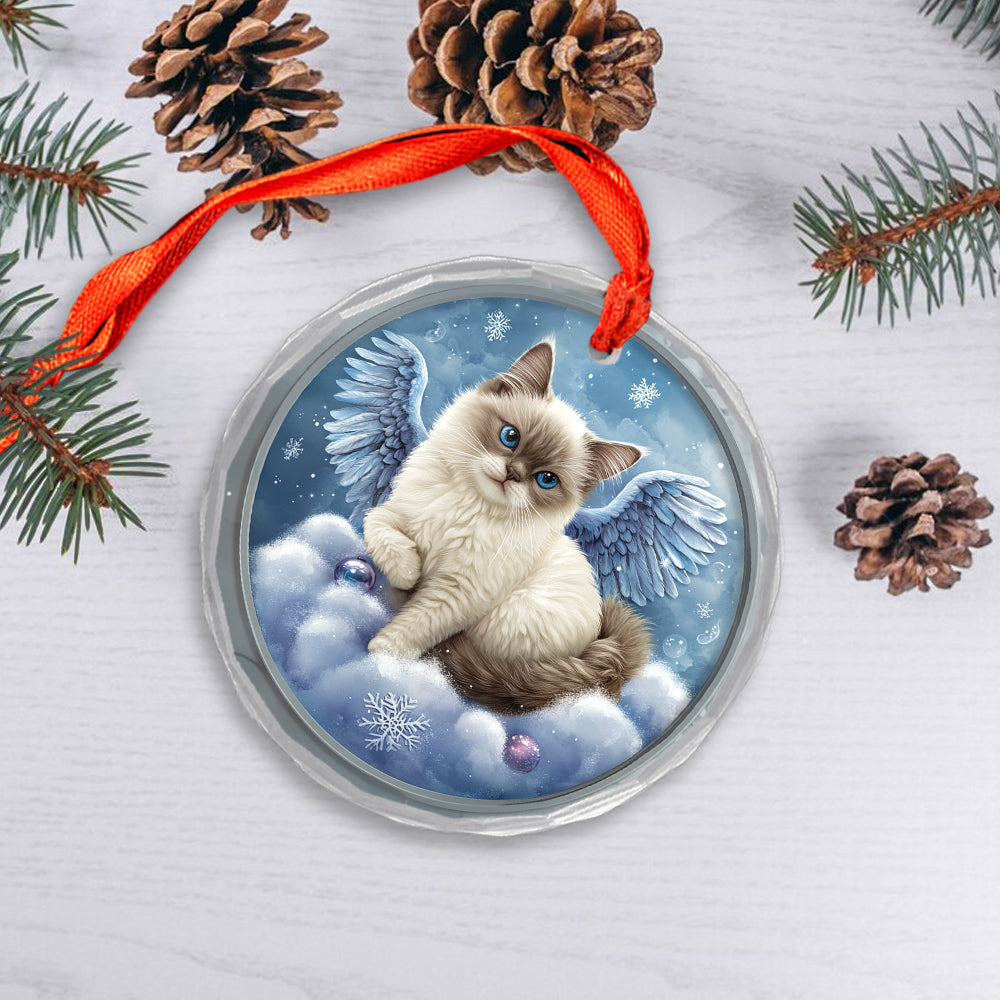 Angel Siamese Cat 1