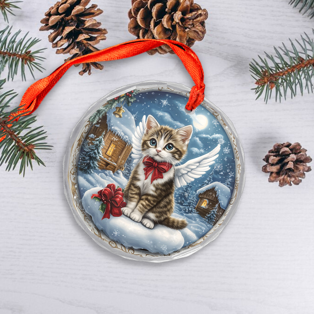 Angel American Shorthair Cat 3
