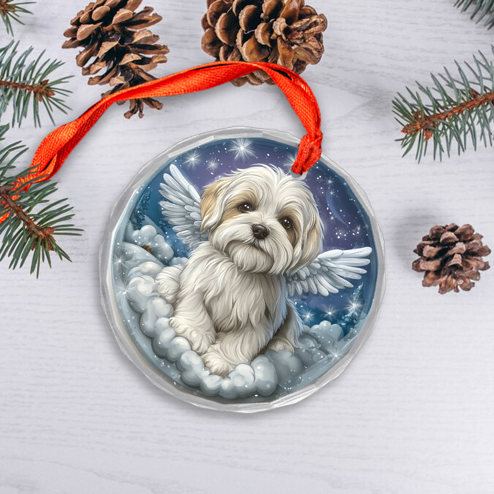 Angel Maltese Dog 4