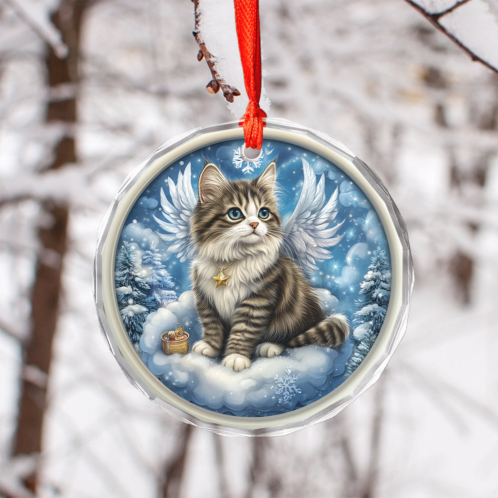 Angel Norwegian Forest Cat 1