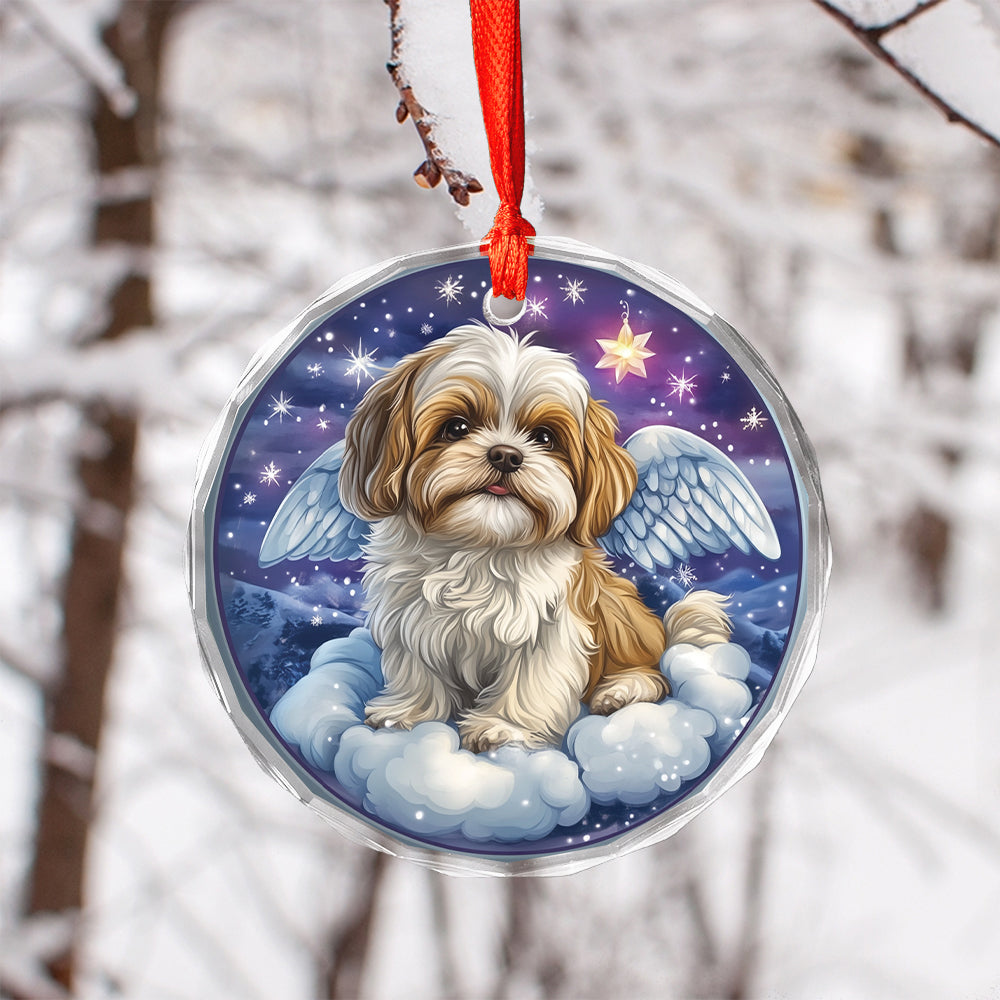 Angel Shih Tzu Dog 4