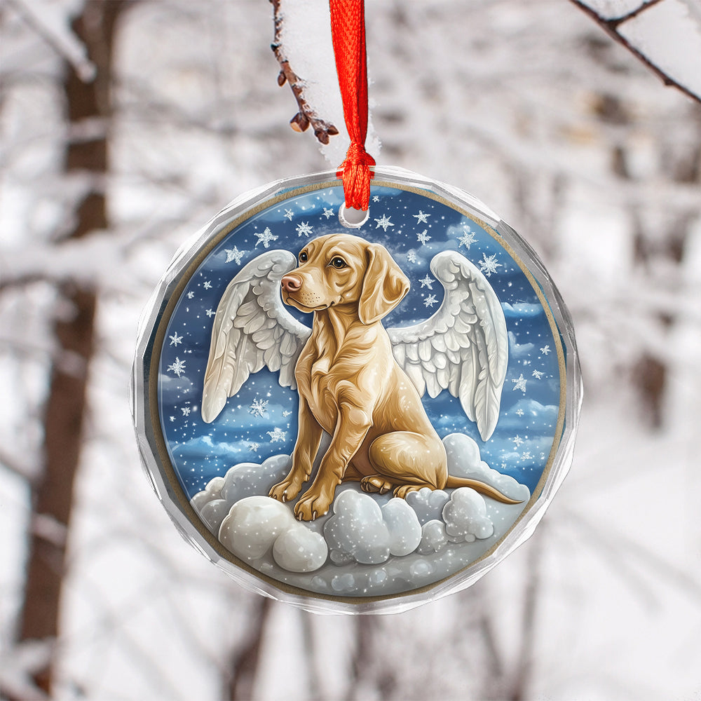 Angel Vizsla Dog 4