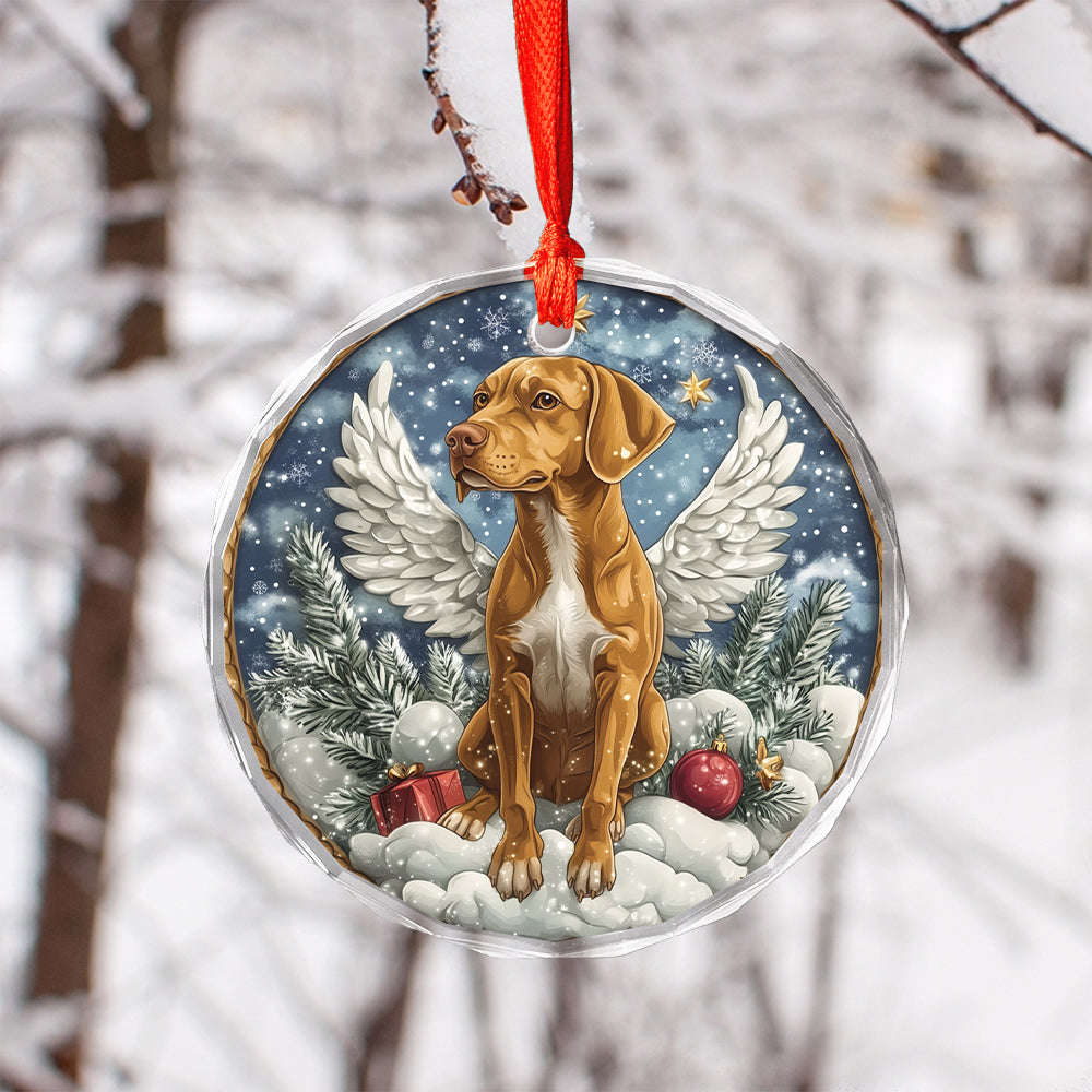 Angel Rhodesian Ridgeback Dog 1