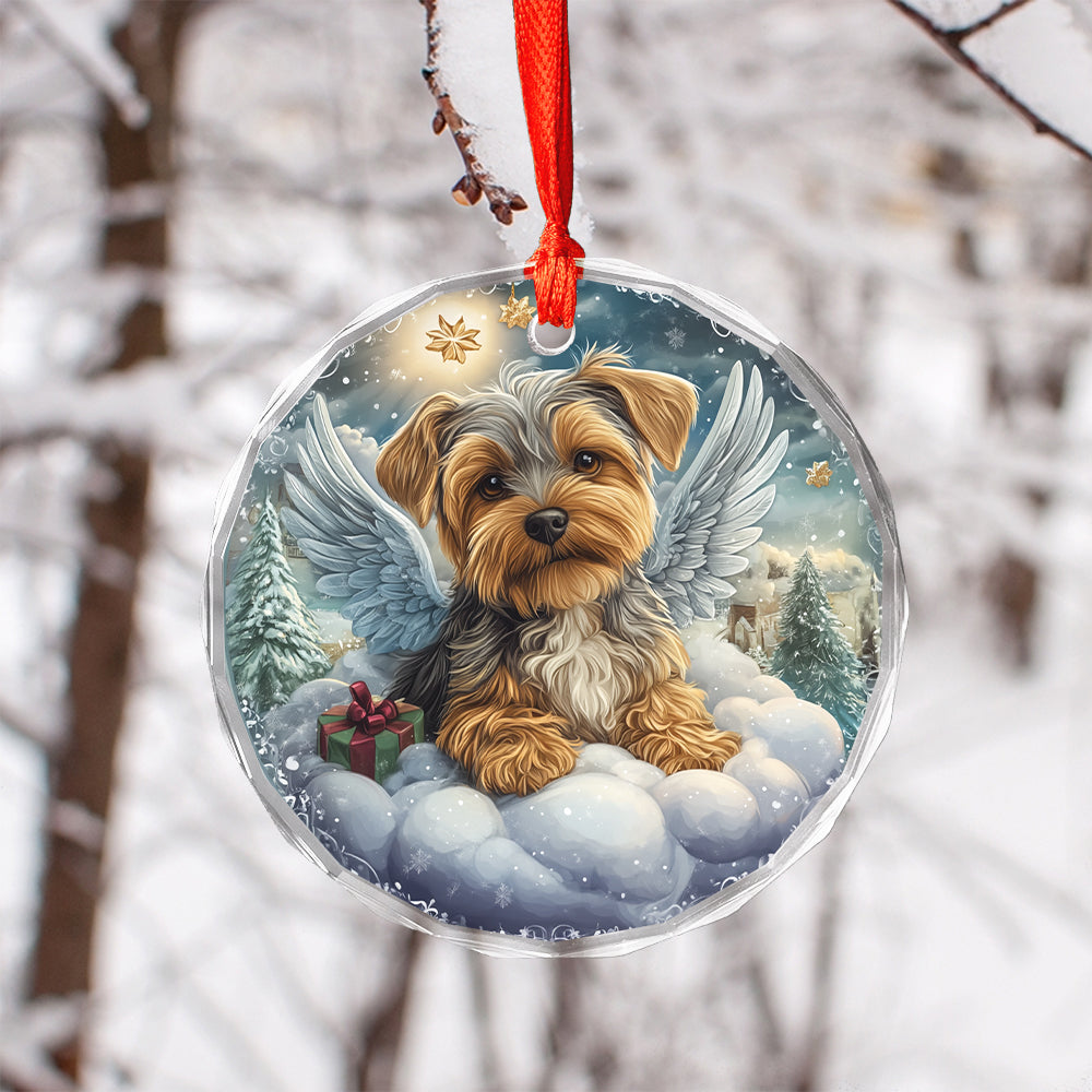 Angel Yorkshire Terrier Dog 1