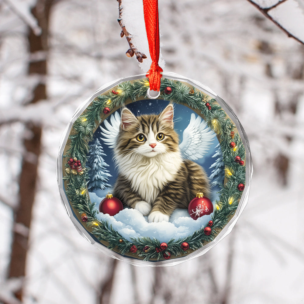 Angel Siberian Cat 1