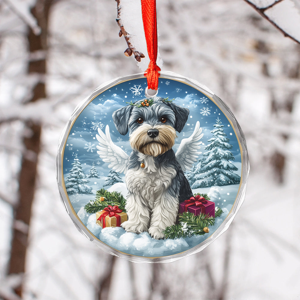 Angel Miniature Schnauzer Dog 4