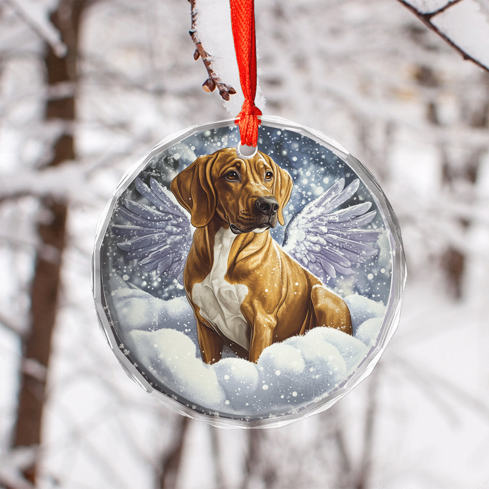 Angel Rhodesian Ridgeback Dog 4