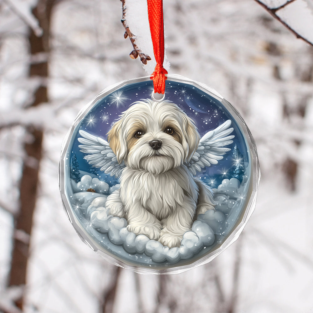 Angel Maltese Dog 4