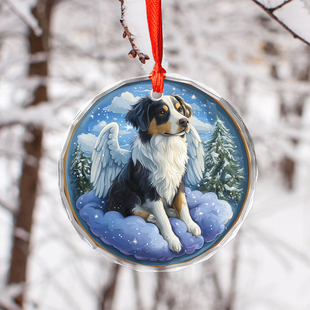 Angel Border Collie Dog 2