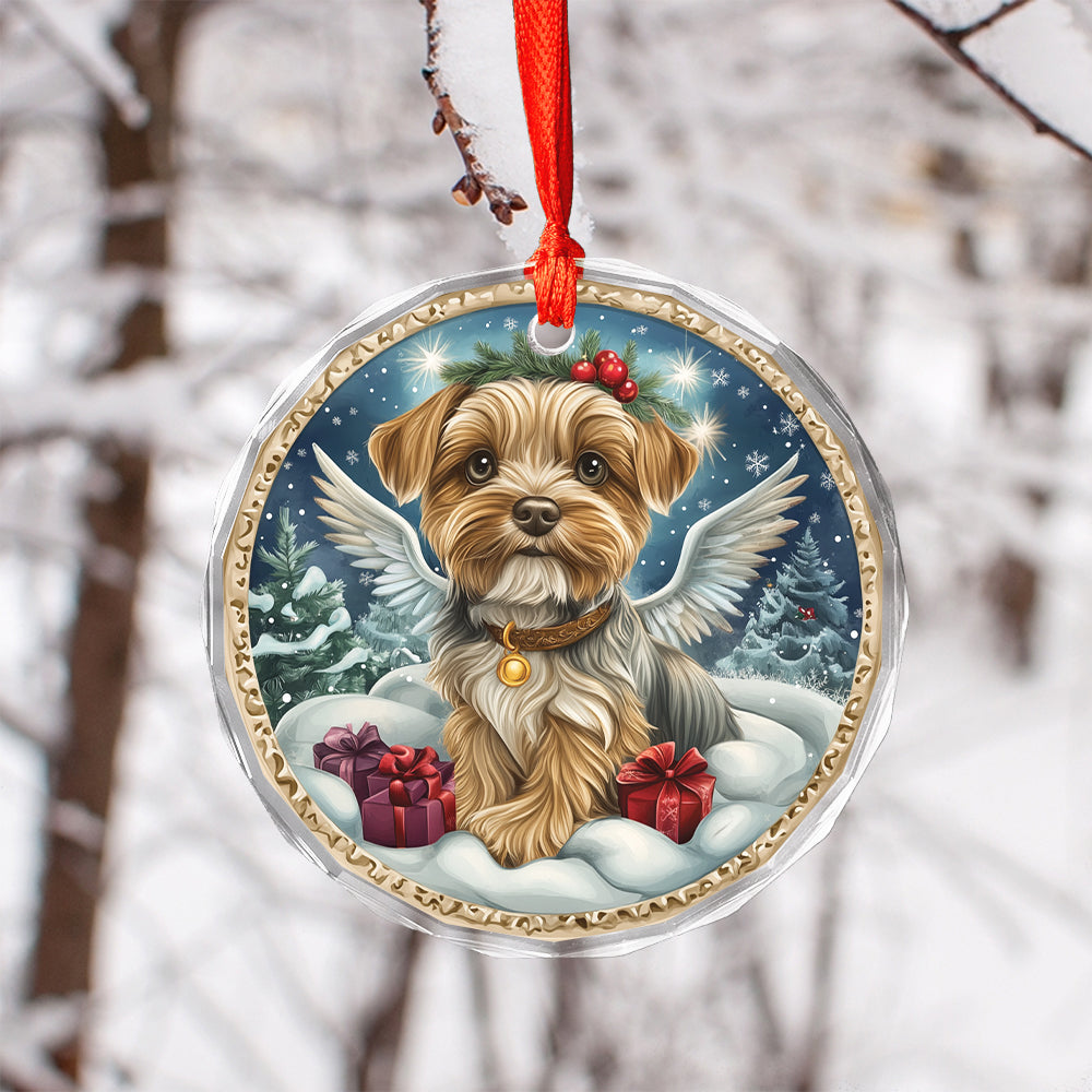 Angel Yorkshire Terrier Dog 4