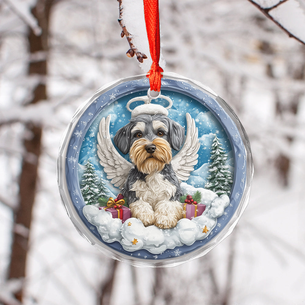 Angel Miniature Schnauzer Dog 3