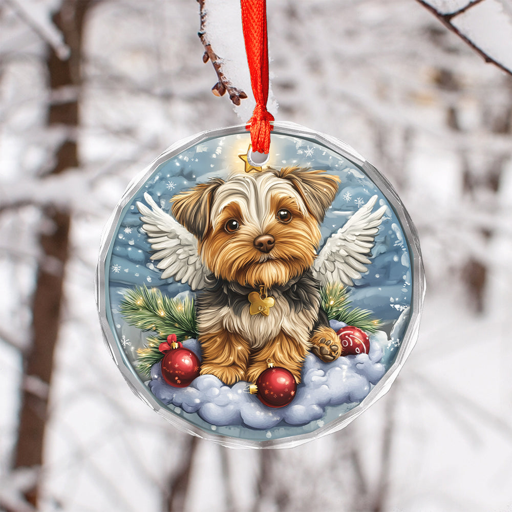 Angel Yorkshire Terrier Dog 3