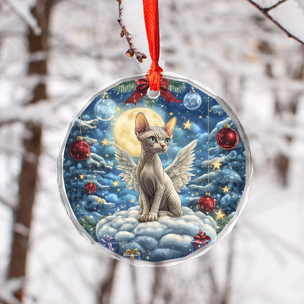 Angel Sphynx Cat 3