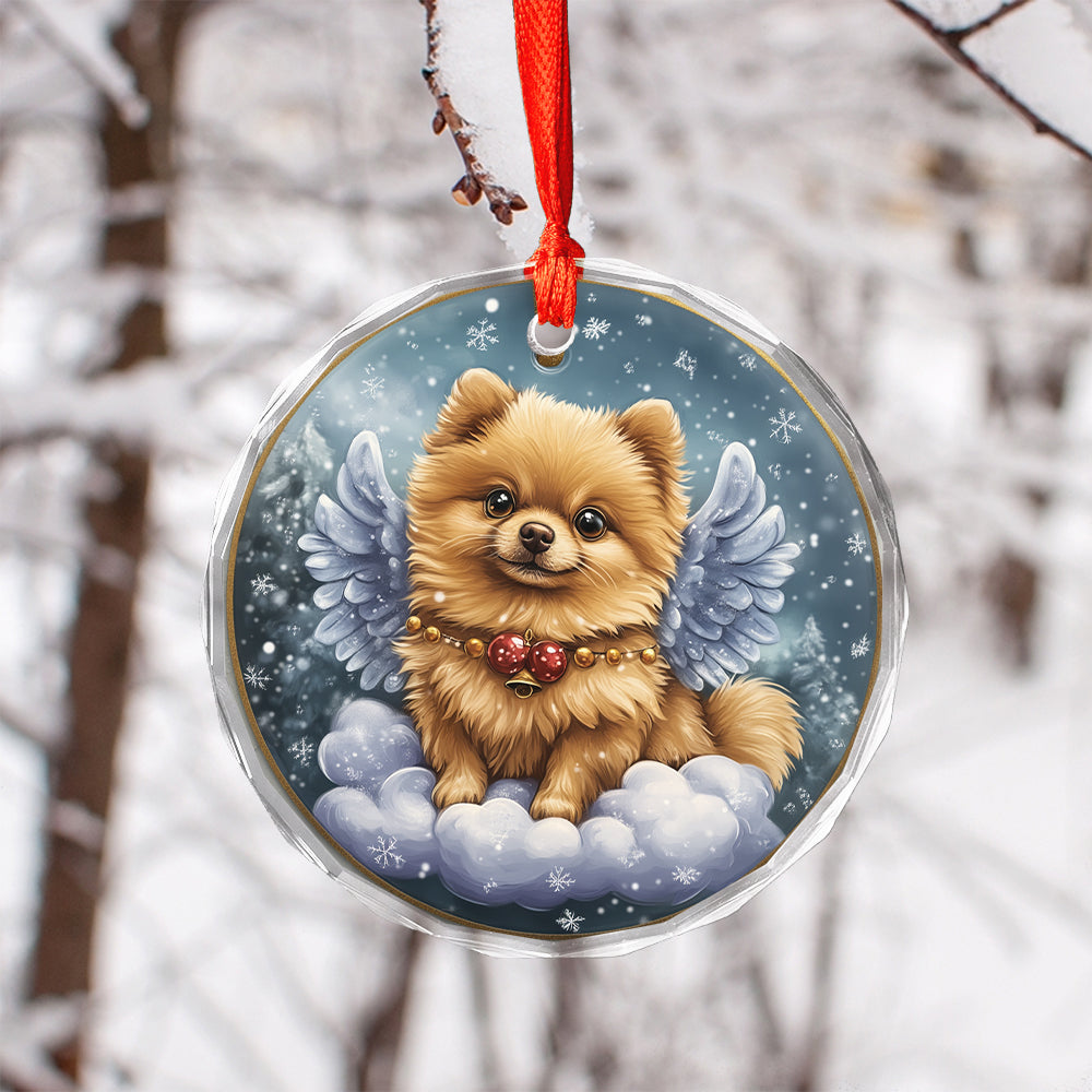 Angel Pomeranian Dog 4