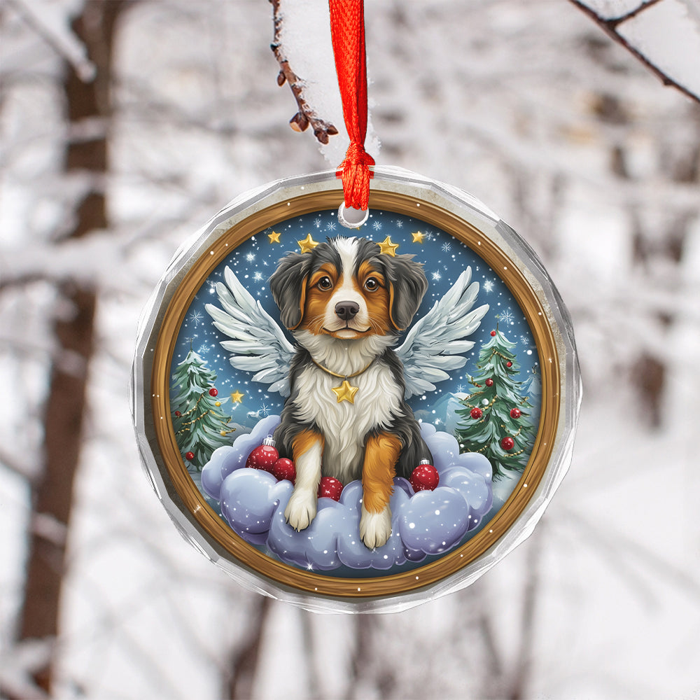 Angel Australian Shepherd Dog 3