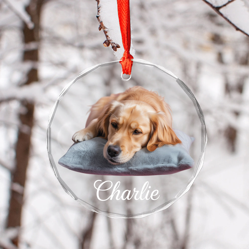 Custom Pet Name