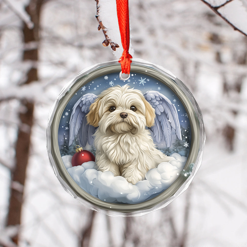Angel Maltese Dog 3