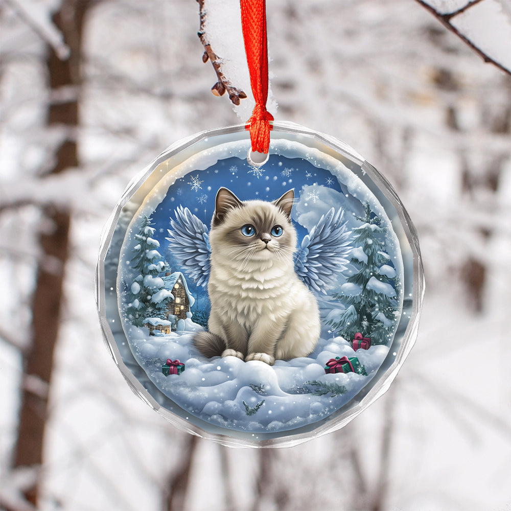 Angel Siamese Cat 2