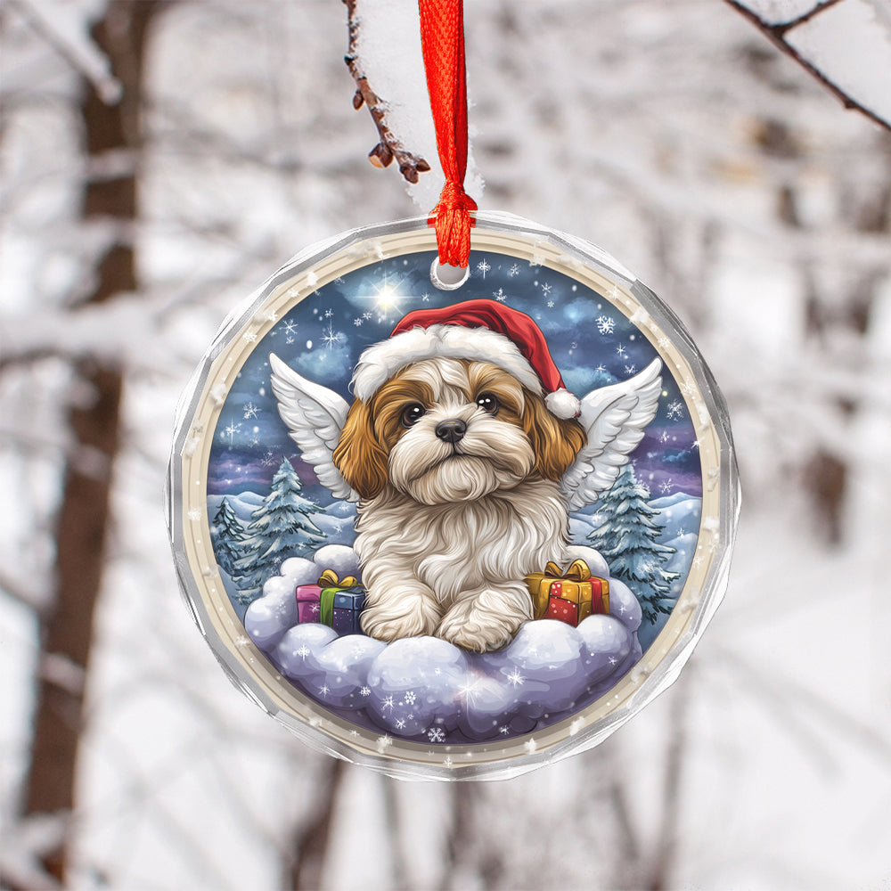 Angel Shih Tzu Dog 3