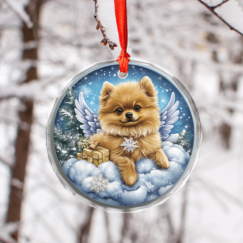 Angel Pomeranian Dog 1