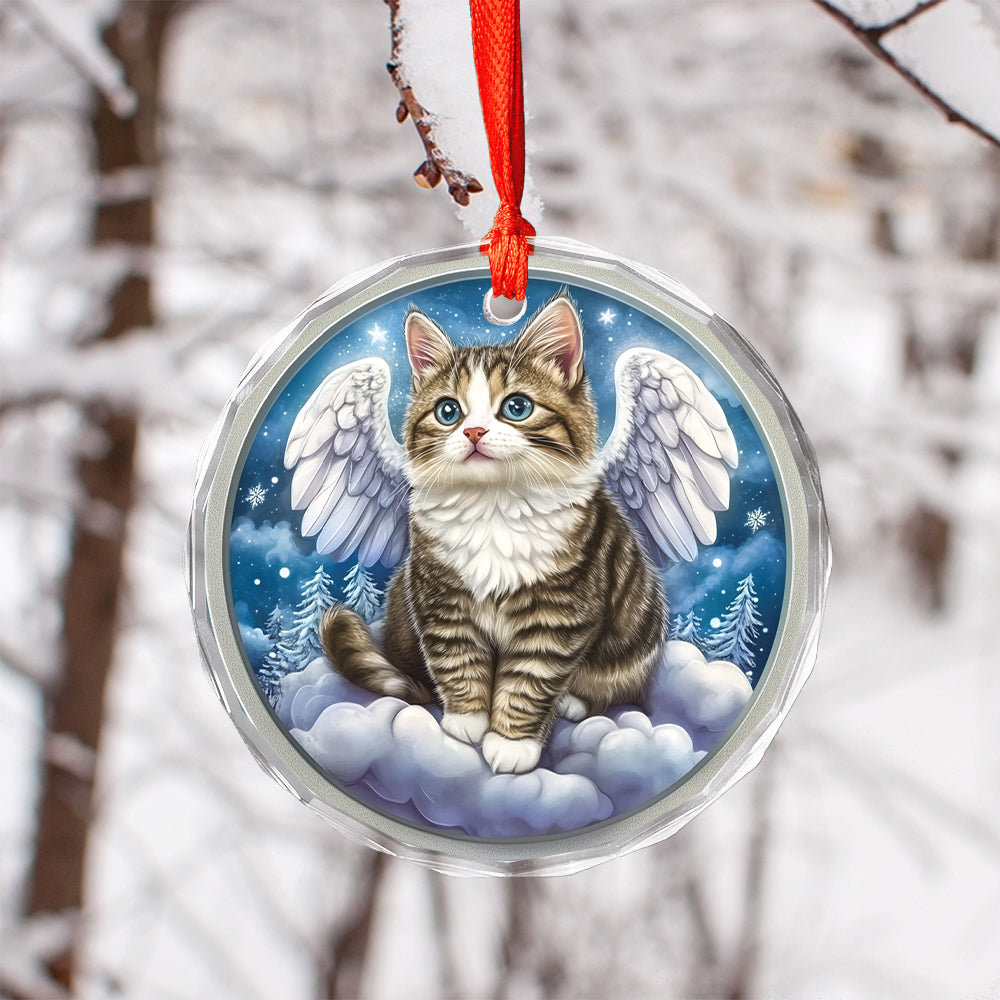 Angel American Shorthair Cat 1