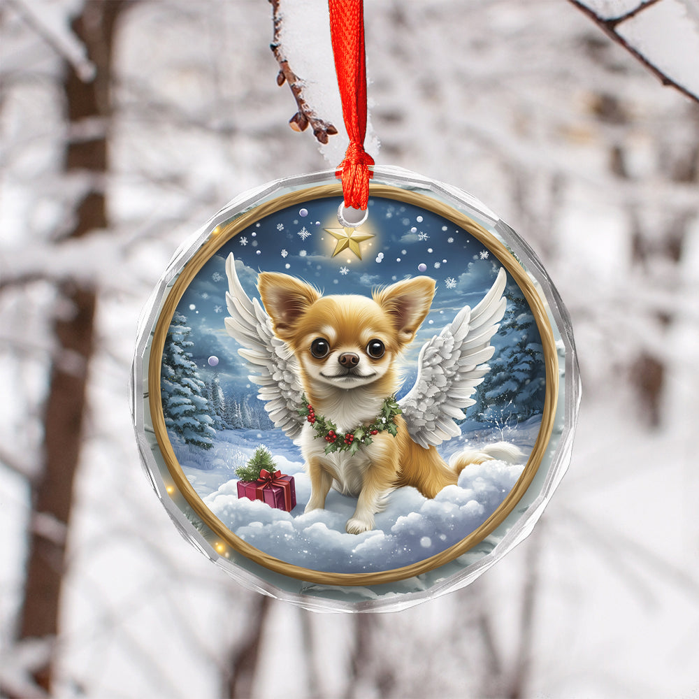 Angel Chihuahua Dog 3