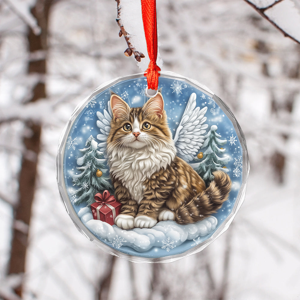 Angel Norwegian Forest Cat 2